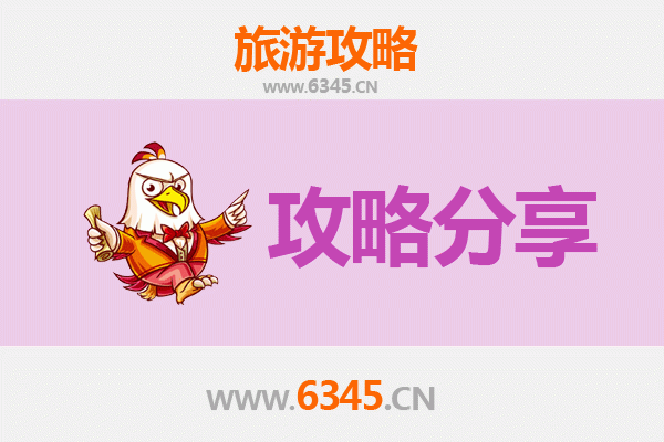 大同南郊至湄洲岛旅游攻略：跟团还是自由行？资深博主深度解析